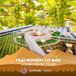 COMBO TRẢI NGHIỆM CƠ BẢN DÀNH CHO NGƯỜI LỚN